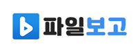 파일보고
